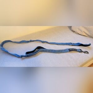 K9 Explorer Blue Dog Leash (6 Feet)